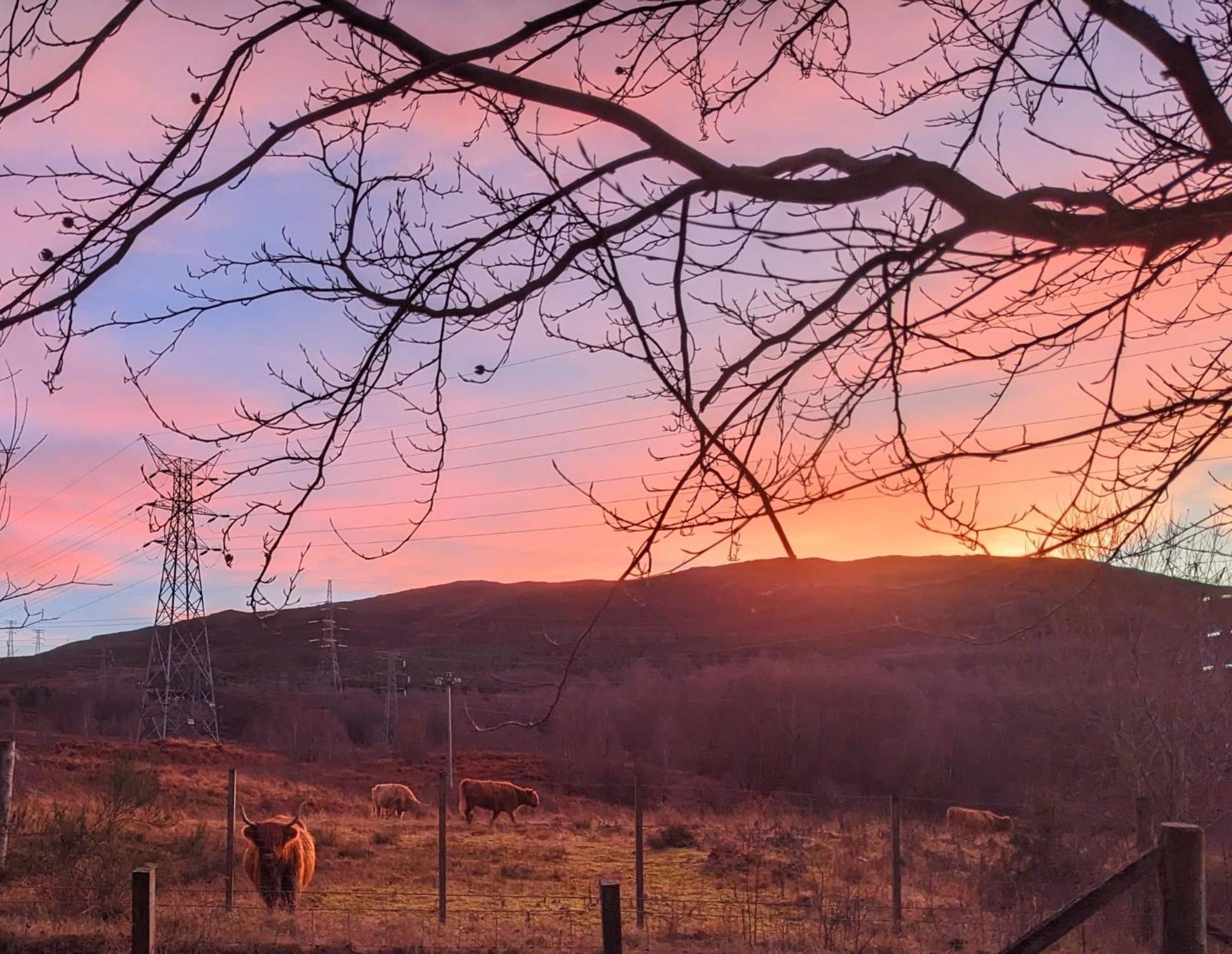 Studio Cottage Tummel Bridge Esterno foto
